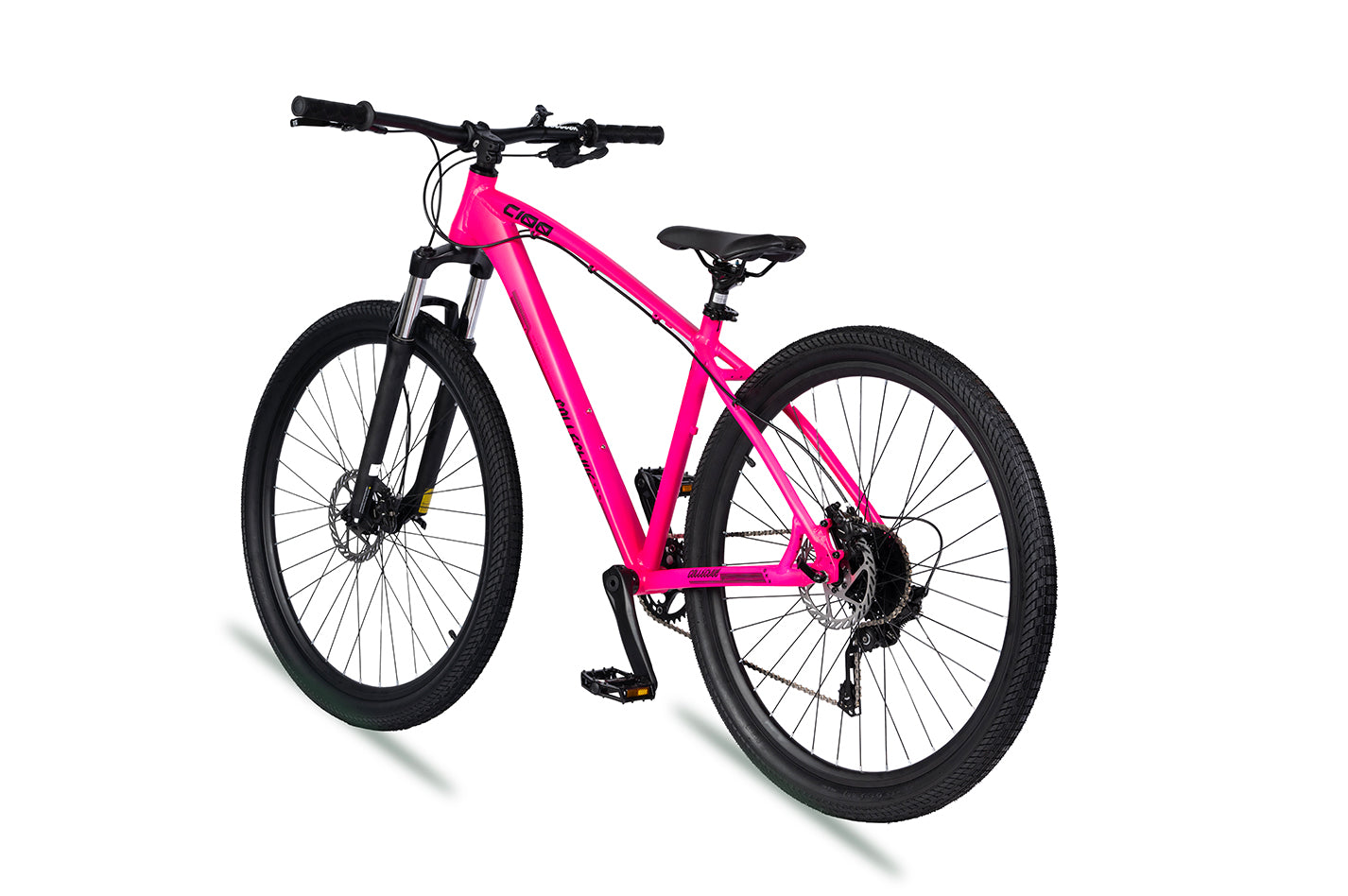 C100 V3 MTB - Rhodonite