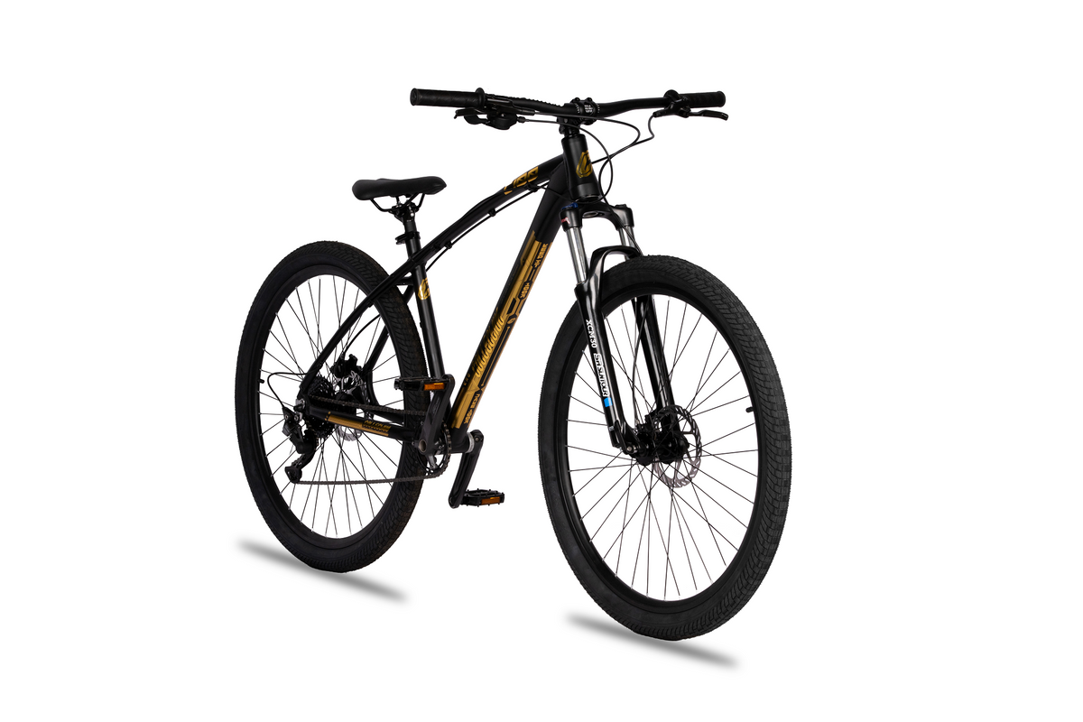 Collective Bikes C100 V3 MTB - 24K — rear view